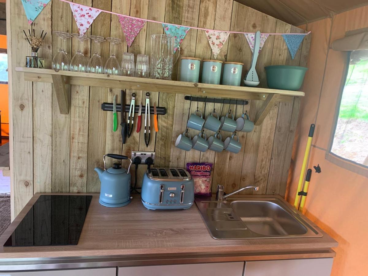 Mountain View Safari Tent With Hot Tub In The Heart Of Snowdonia Dolgellau Exterior photo